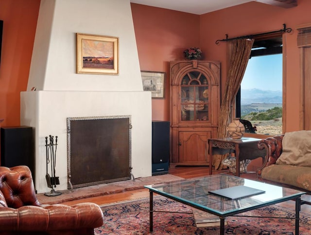 living room with wood-type flooring, a fireplace, and a mountain view