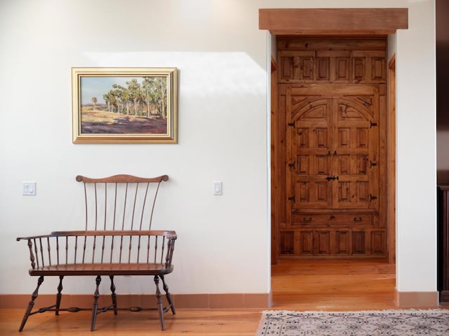 hallway with wood-type flooring