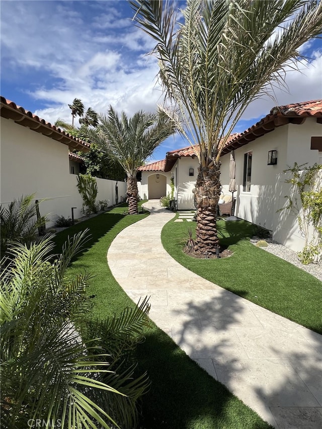 view of yard featuring a patio