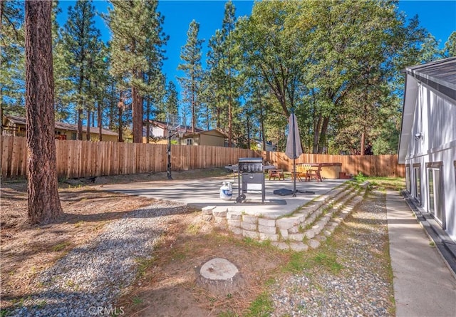 view of yard featuring a patio area