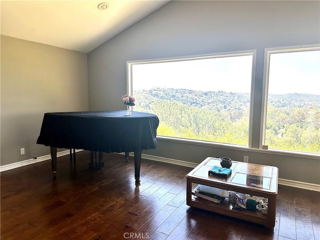 sitting room with vaulted ceiling and dark hardwood / wood-style flooring