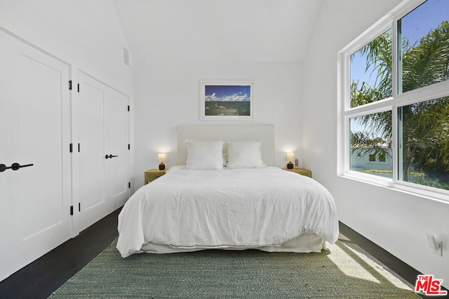 bedroom featuring dark hardwood / wood-style floors and vaulted ceiling