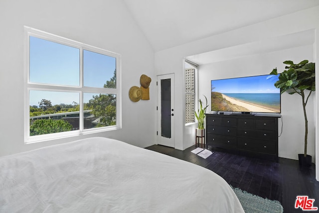 bedroom featuring dark hardwood / wood-style flooring and high vaulted ceiling