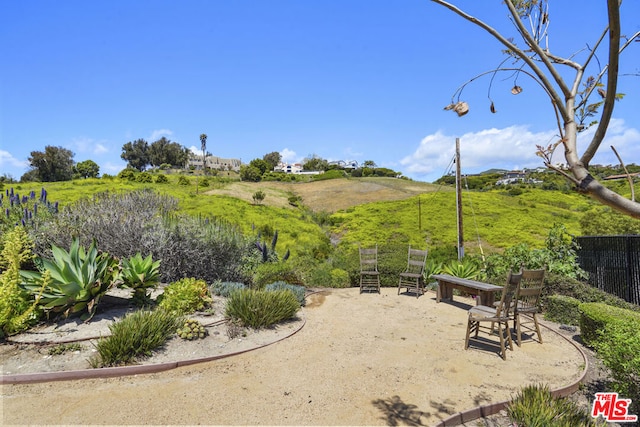 view of yard featuring a patio