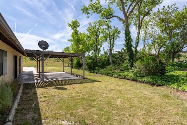 view of yard featuring a patio