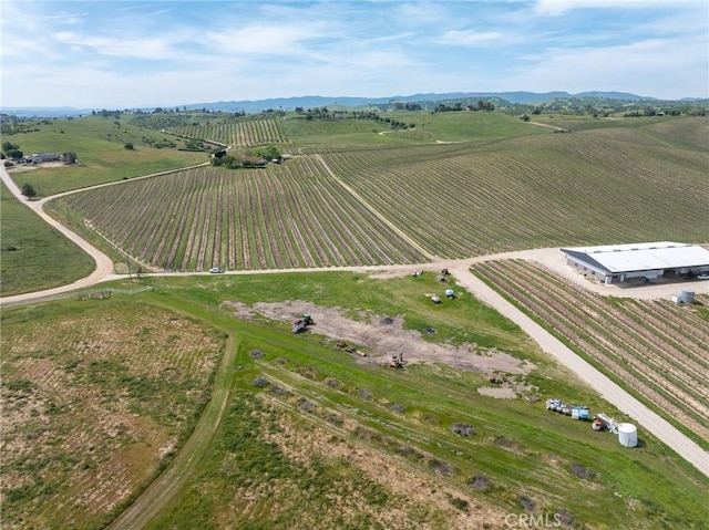 bird's eye view with a rural view