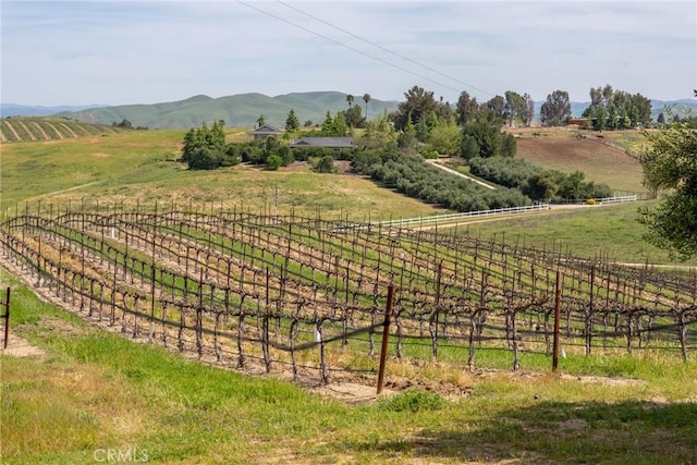 view of yard featuring a rural view and a mountain view