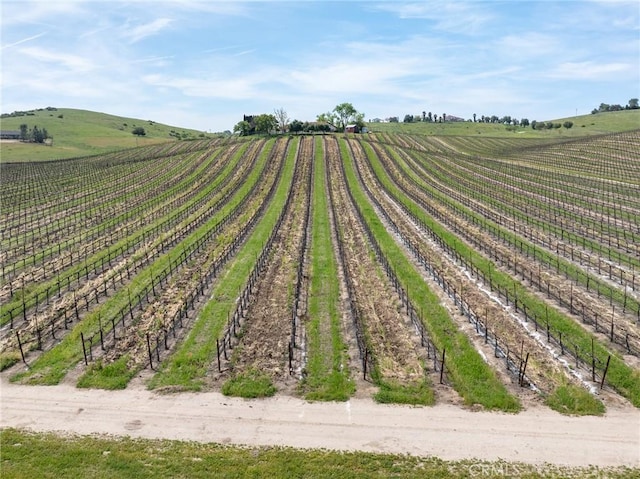 view of yard featuring a rural view