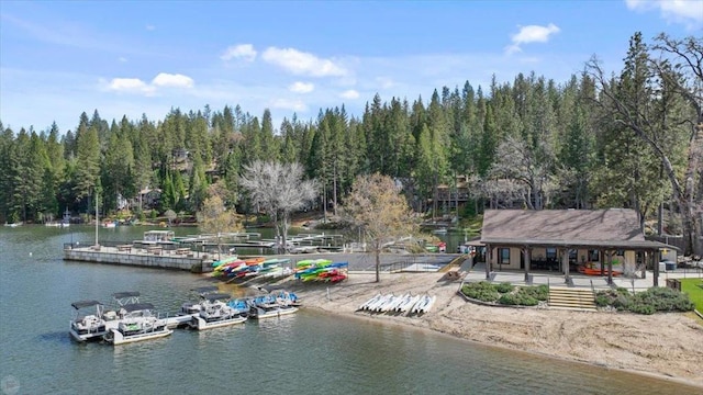 property view of water with a dock