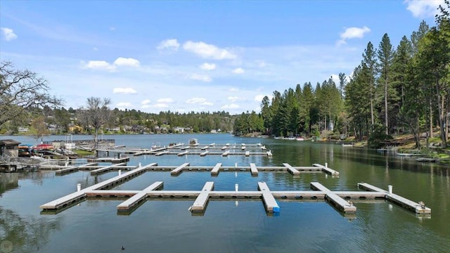 view of dock featuring a water view