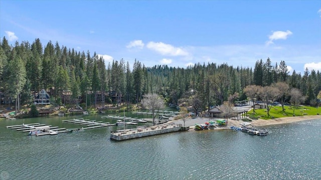 property view of water featuring a boat dock