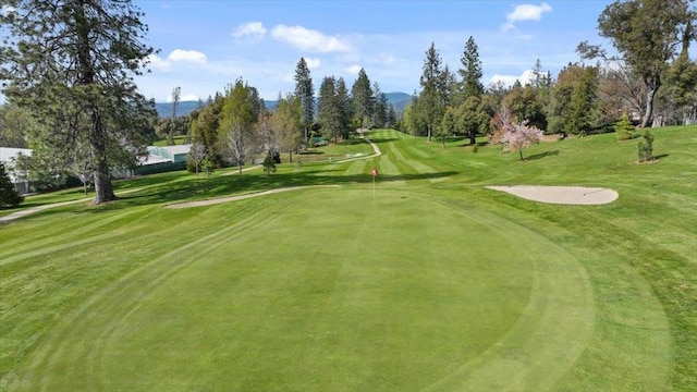 view of property's community featuring a yard