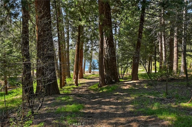 view of landscape