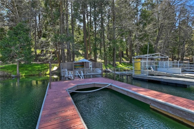 dock area with a water view