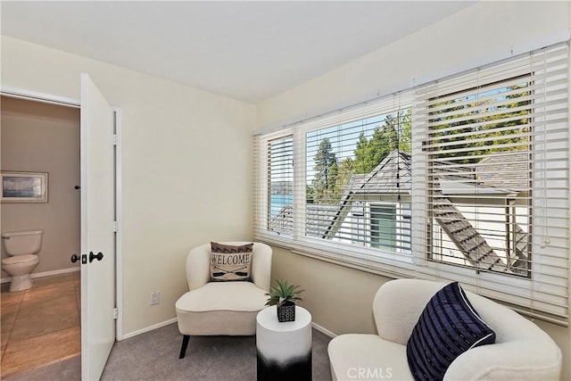 sitting room with carpet flooring