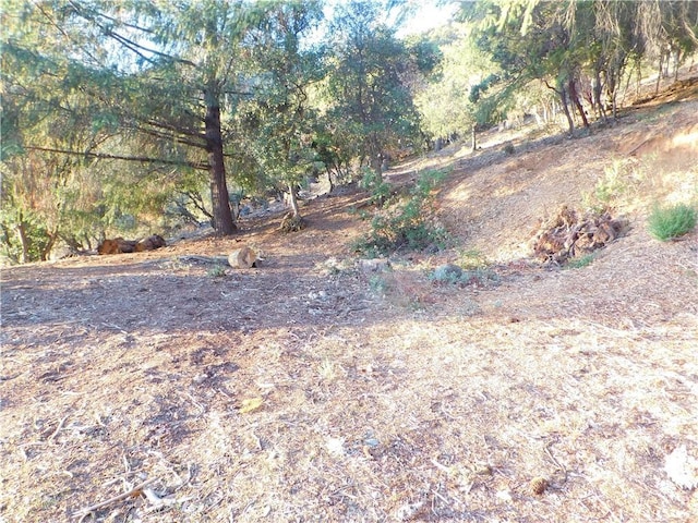 Listing photo 2 for 8431 Mountain Crest Dr, Kelseyville CA 95451