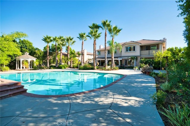 view of swimming pool featuring a patio