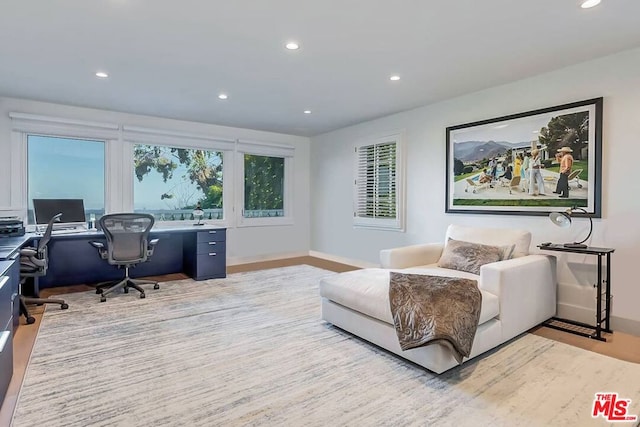 home office featuring light hardwood / wood-style flooring