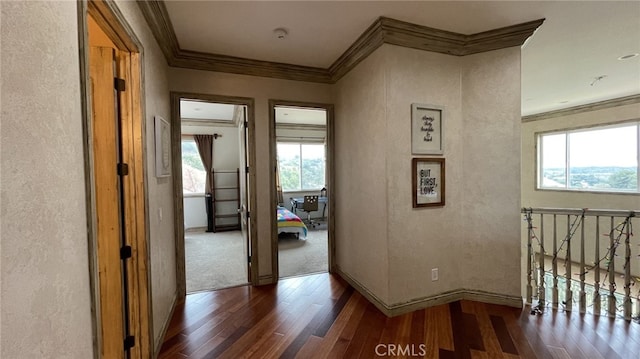 corridor featuring crown molding and dark wood-type flooring