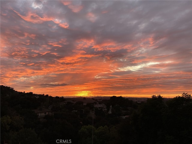 view of nature at dusk