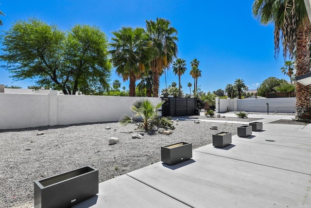 view of yard with a patio