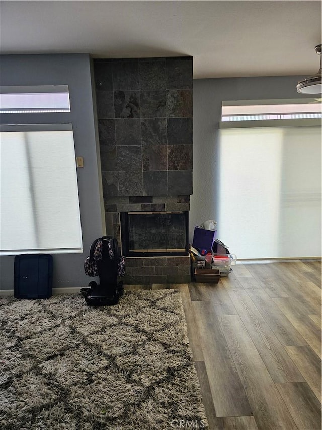 living room featuring wood-type flooring and a fireplace