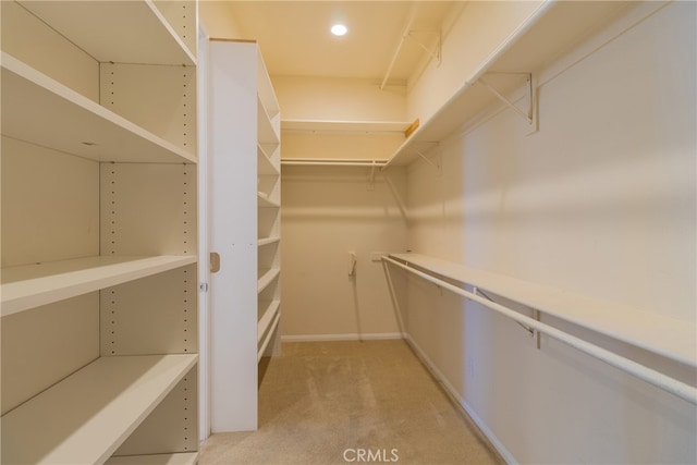 walk in closet featuring light colored carpet