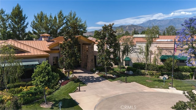 view of community featuring a mountain view and a lawn