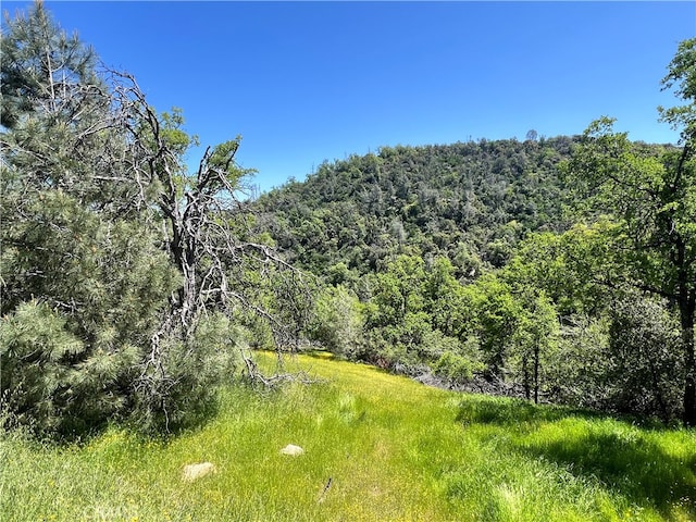 0 Lakeside Dr, Mariposa CA, 95338 land for sale