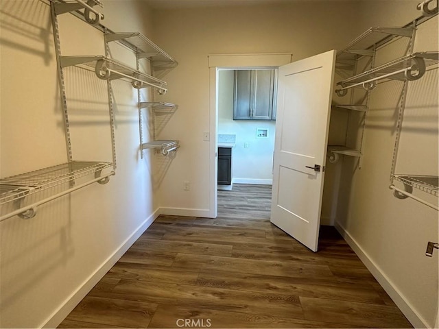 walk in closet featuring dark hardwood / wood-style floors