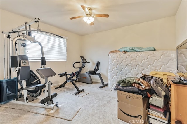 workout area with carpet floors and ceiling fan