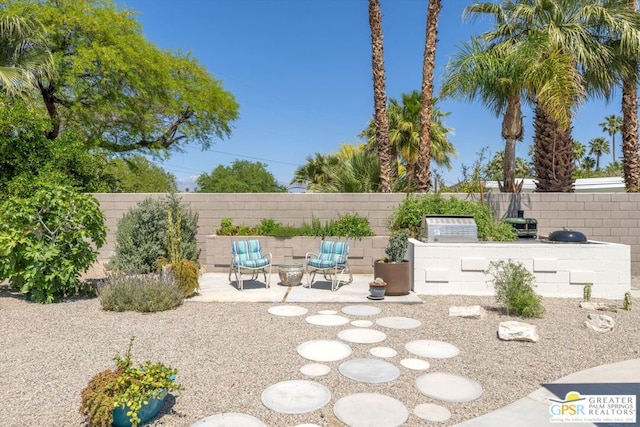 view of yard with a patio and an outdoor hangout area