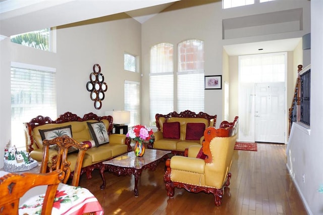 living room featuring dark hardwood / wood-style flooring