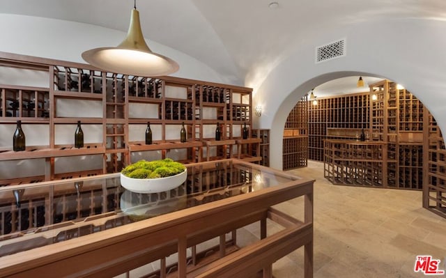 wine cellar featuring vaulted ceiling