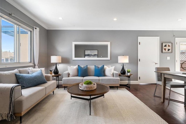 living room featuring dark wood-type flooring and crown molding