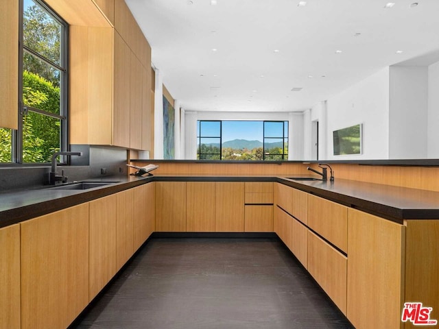 kitchen with light brown cabinetry, sink, and dark hardwood / wood-style floors