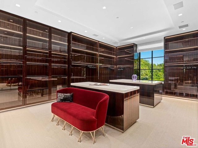 office area featuring a raised ceiling