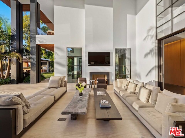 living room with hardwood / wood-style floors and a high ceiling