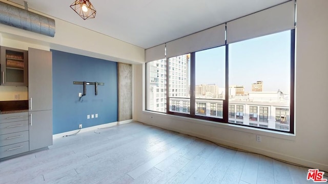 empty room featuring light hardwood / wood-style flooring