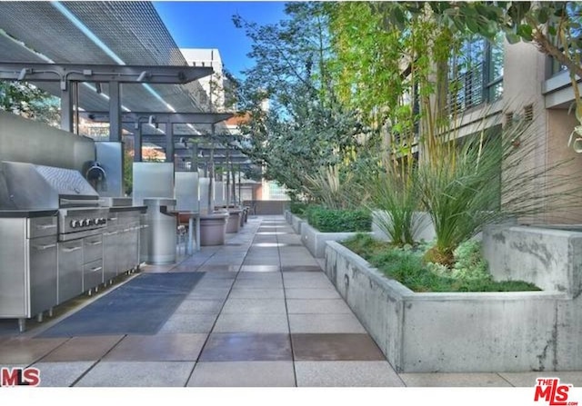 view of patio featuring exterior kitchen