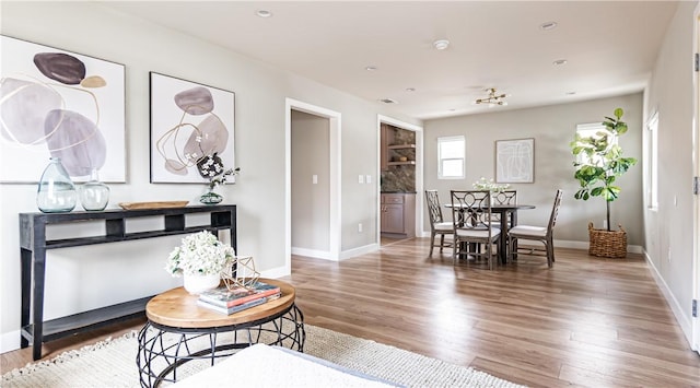 living room featuring hardwood / wood-style floors