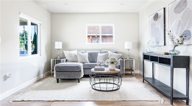 living room featuring wood-type flooring