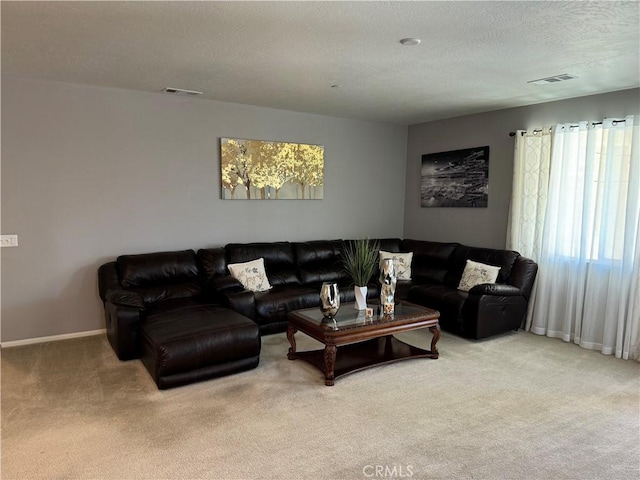 living room featuring carpet and a textured ceiling