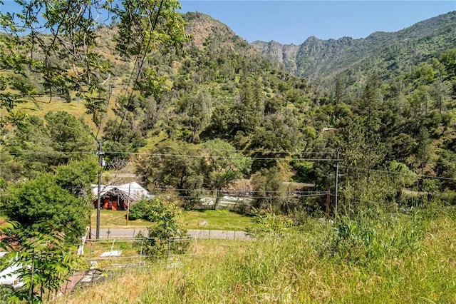 view of mountain feature with a forest view