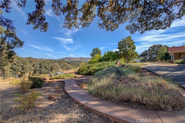 view of yard featuring a mountain view