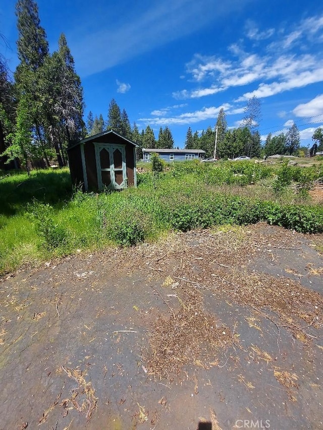 view of yard featuring a storage unit