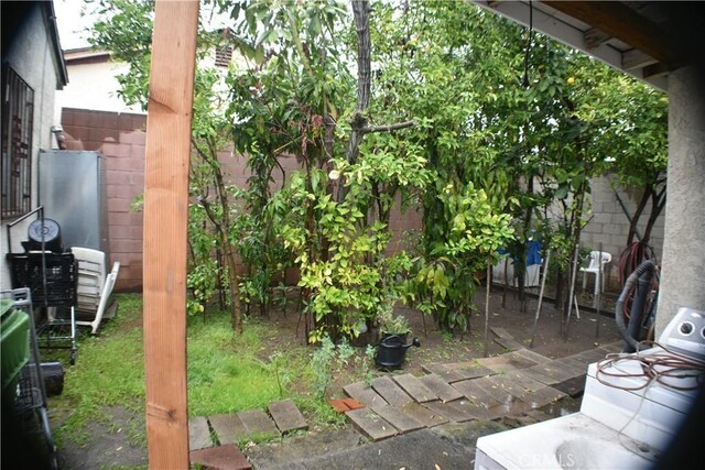 view of yard featuring washer / clothes dryer