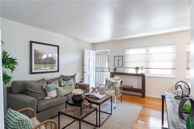 living room with light hardwood / wood-style flooring