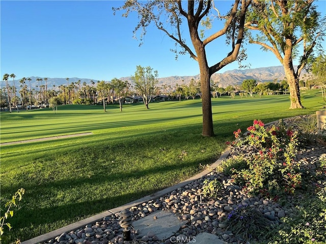 view of property's community with a yard and a mountain view