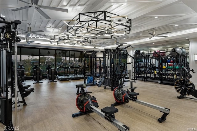 workout area with ceiling fan and wood-type flooring